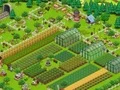 Lojë Country Life Meadows: A Farming Adventure në internet
