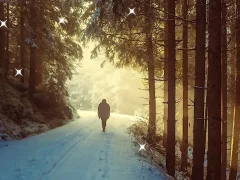 Lojë Winter Hidden Stars në internet