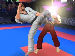 Lojë Karate Fighter në internet