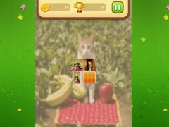 Lojë Farm Cat Memory Match në internet