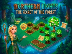 Lojë Northern Lights - The Secret Of The Forest në internet