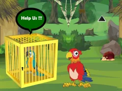 Lojë Release Trapped Macaw Buddy në internet