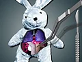 Lojë Save The Bunny në internet