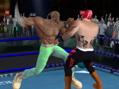 Lojë Real Boxing Fighting Game në internet
