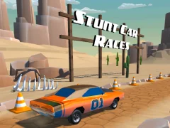 Lojë Stunt car Races në internet