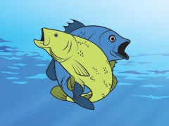 Lojë Friendly Fish Coloring në internet