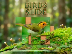 Lojë Birds Slide në internet
