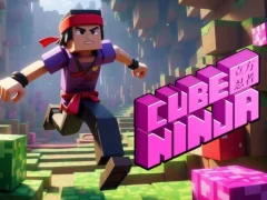 Lojë Cube Ninja në internet