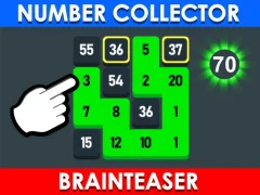 Lojë Number Collector: Brainteaser në internet