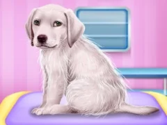 Lojë Labrador at the doctor salon në internet