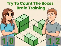 Lojë Try To Count The Boxes Brain Training në internet