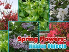 Lojë Spring Flowers: Hidden Objects në internet
