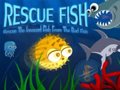 Lojë Rescue Fish në internet