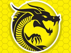Lojë Kung Fu Fury në internet