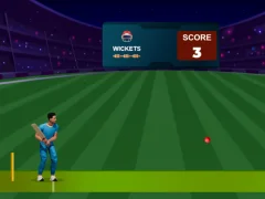 Lojë Cricket Night 2 në internet