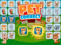 Lojë Pet connect në internet