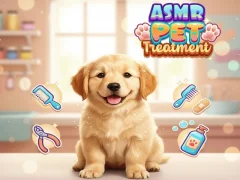 Lojë Asmr Pet Treatment në internet