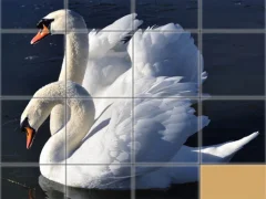 Lojë Animals Slide Puzzle në internet