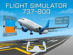 Lojë Flight Simulator 737-800 në internet