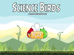 Lojë Science Birds në internet