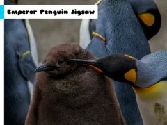 Lojë Emperor Penguin Jigsaw në internet