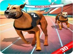 Lojë Crazy Dog Race në internet