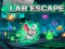 Lojë Lab Escape në internet