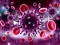 Lojë Coronavirus Puzzle në internet