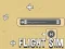 Lojë Flight Sim në internet
