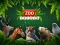 Lojë ZOO Trivia në internet