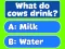 Lojë Trivia! Best Family Quiz në internet