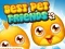 Lojë Best Pet Friends në internet