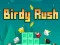 Lojë Birdy Rush në internet