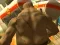 Lojë Monster Simulator në internet