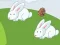 Lojë Crazy Eggs në internet