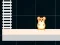 Lojë Hamster Grid Even Odd në internet