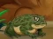 Lojë Frogs Matching në internet