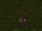 Lojë Starcraft 3 në internet