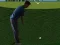 Lojë Flash Golf 3D në internet