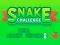 Lojë Snake Challenge në internet