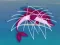 Lojë Dolphin Rescue në internet