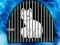 Lojë Snow Fox Escape në internet