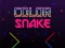 Lojë Color Snake në internet