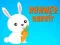 Lojë Runner Rabbit në internet