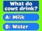 Lojë Trivia Best Family Quiz në internet