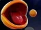 Lojë Pac-Man 3d në internet