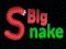 Lojë Big Snake.io në internet