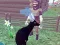 Lojë Deer Simulator 3D në internet