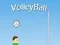 Lojë VolleyBall në internet