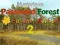 Lojë Mysterious Password Forest Autumn Edition 2 në internet